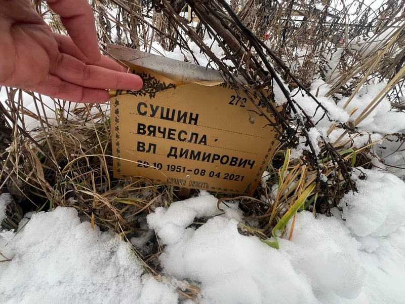 Сушин