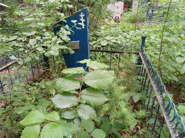 Держеева Анна Александровна