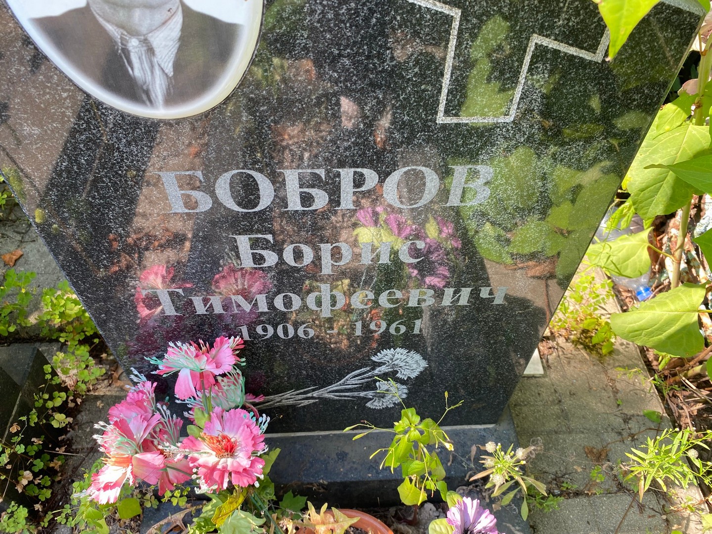 Бобров