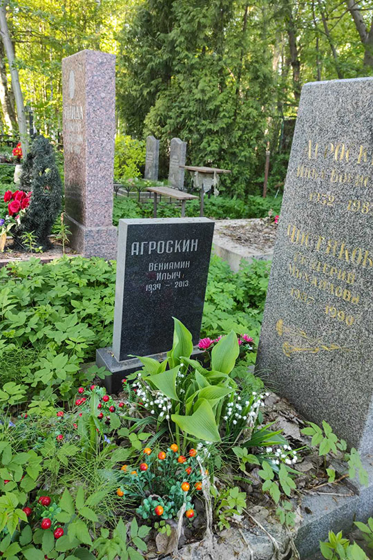 Чистякова Екатерина Михайловна