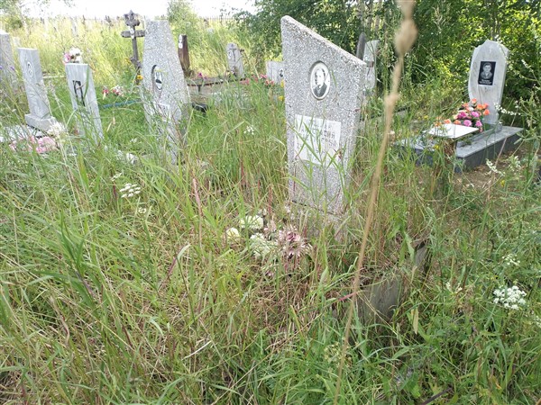 Уголина Анастасия Васильевна