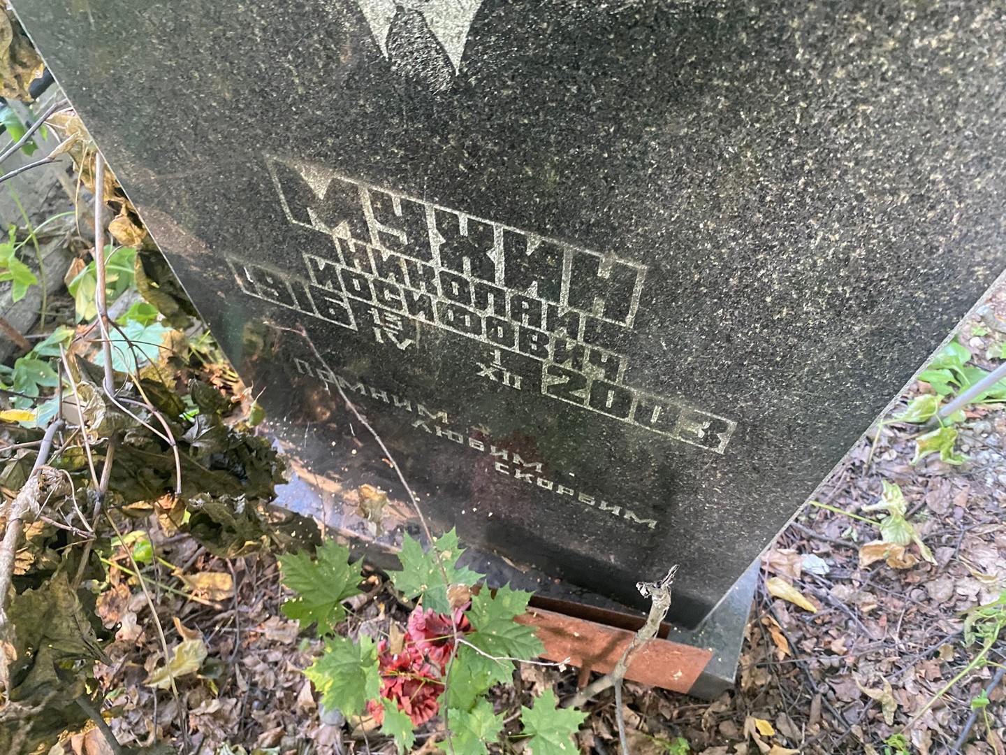 Мухин