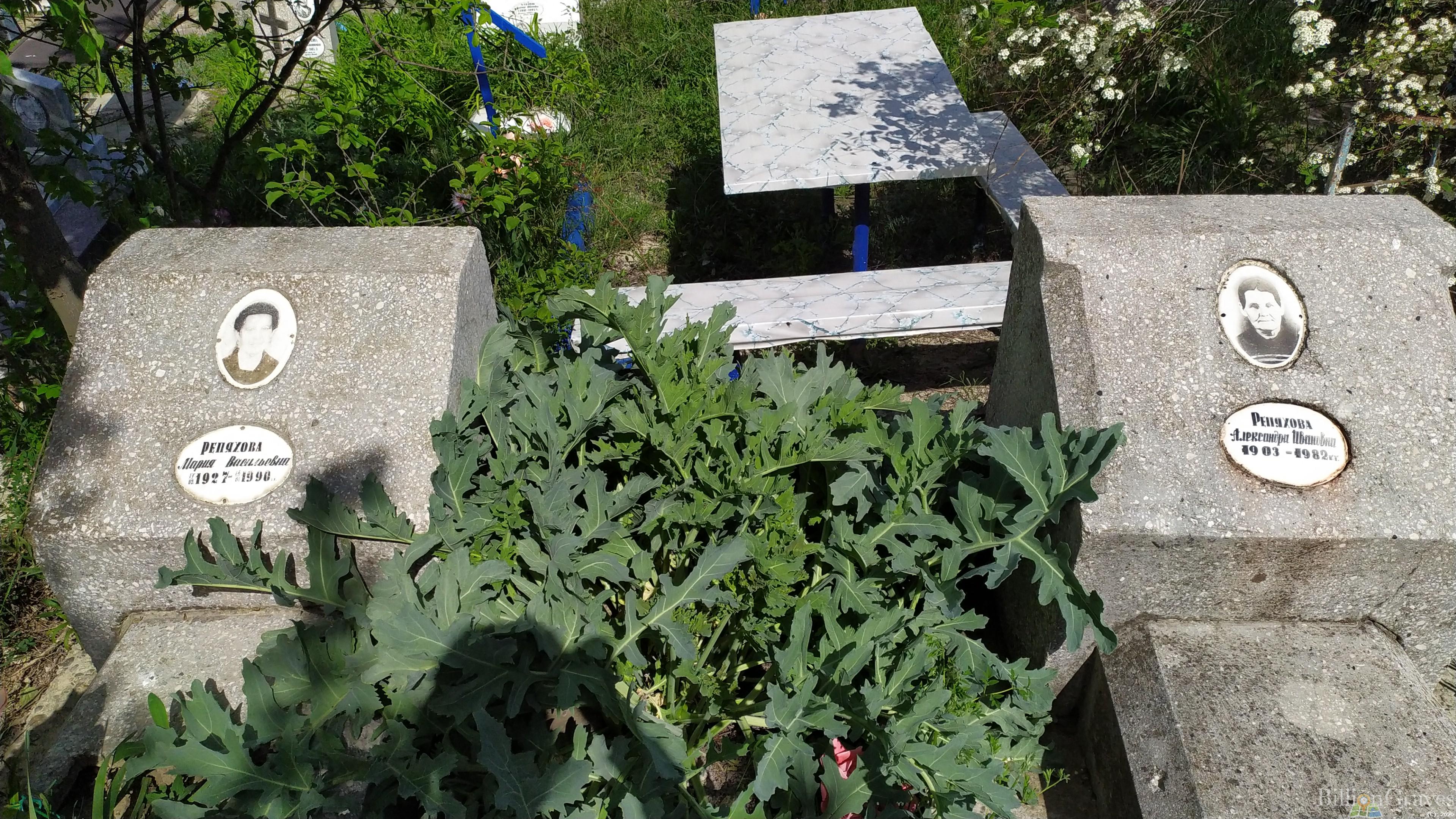 Репяхова Мария Васильевна