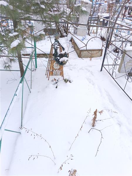Низовцев Женя