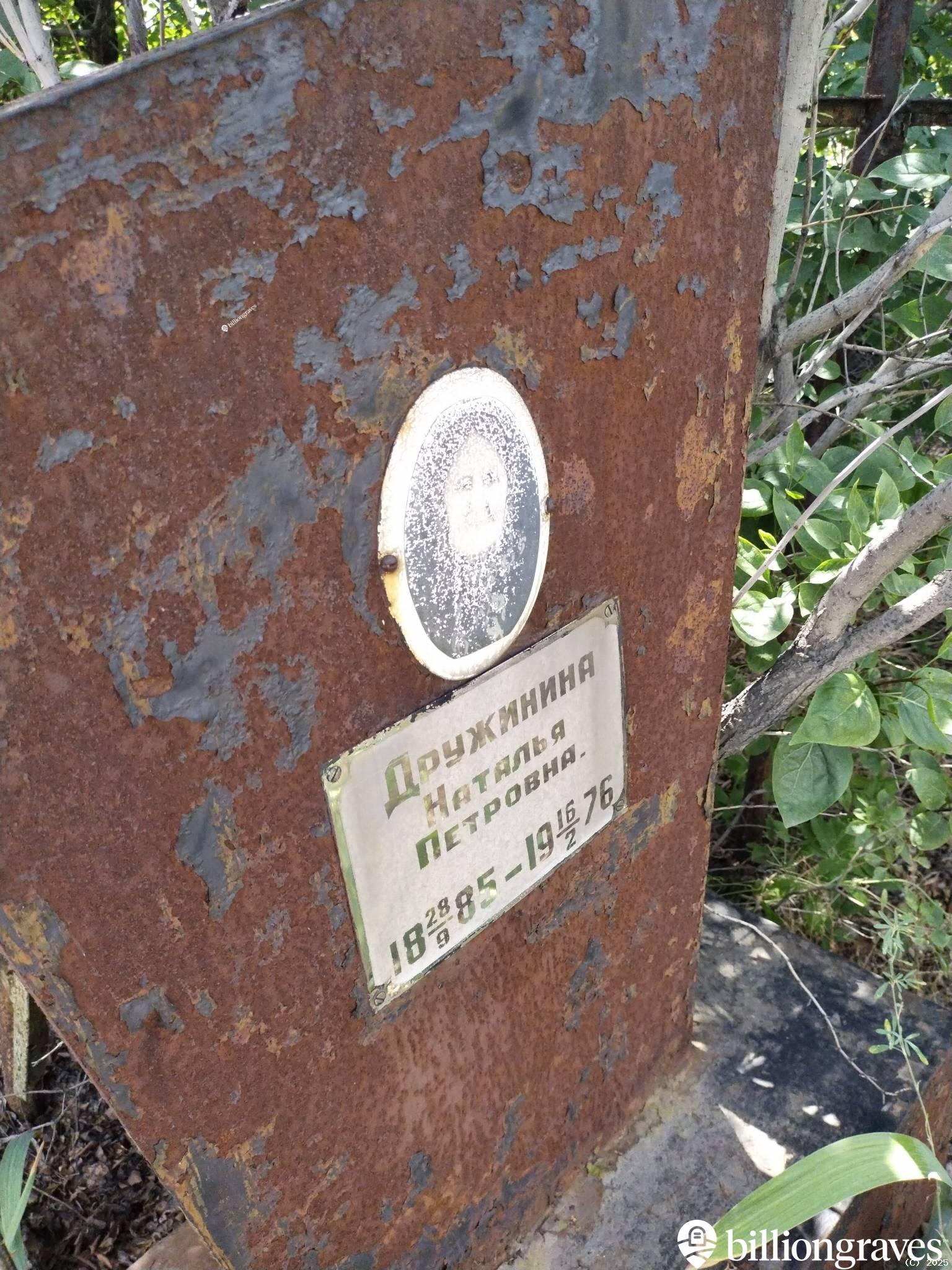 Дружинина Наталья Петровна