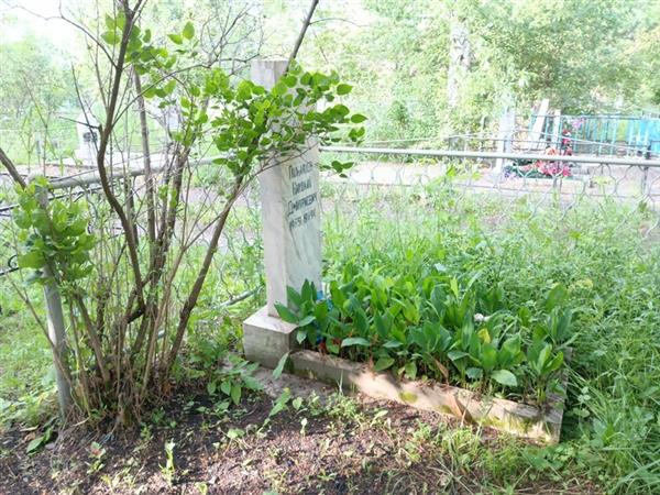 Полынцев Николай Дмитриевич