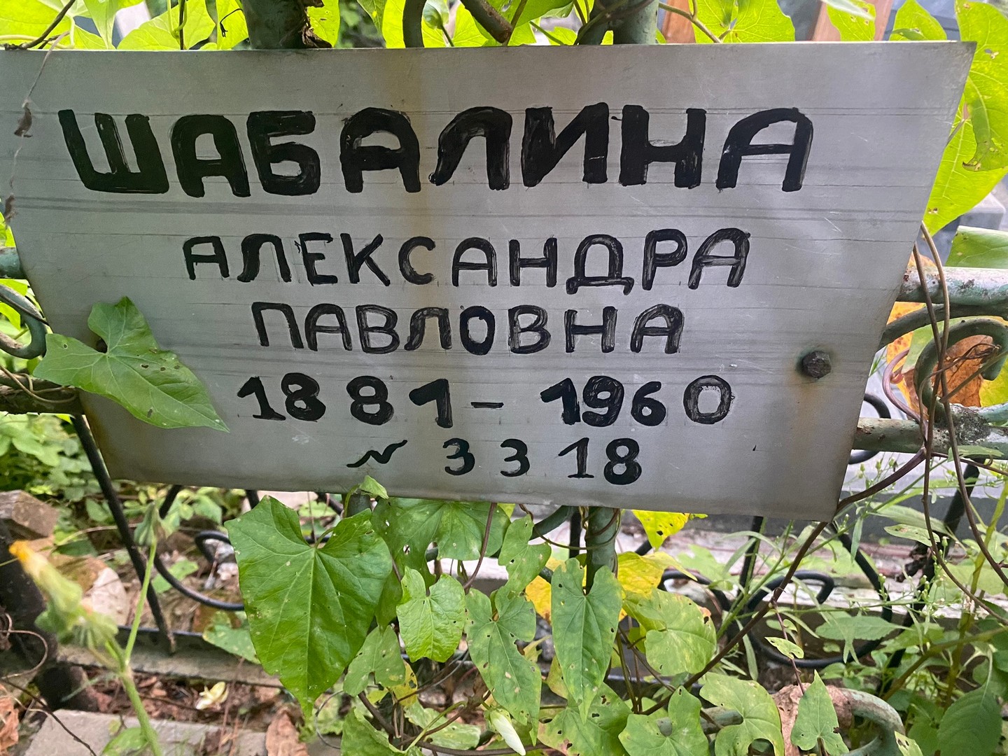 Шабалина Александра Павловна