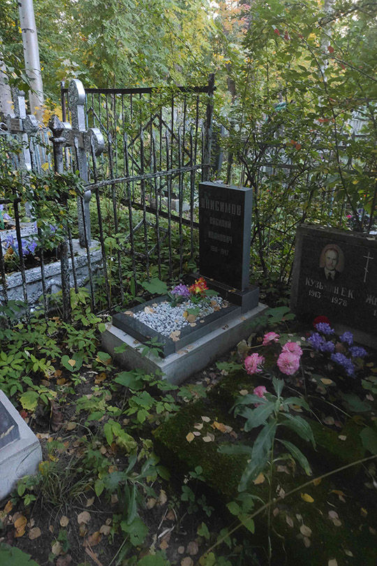 Анисимов Василий Иванович