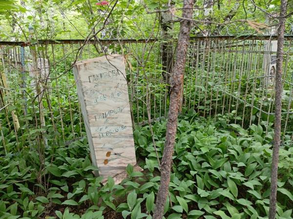 Гамирова Альфия Нурисламовна