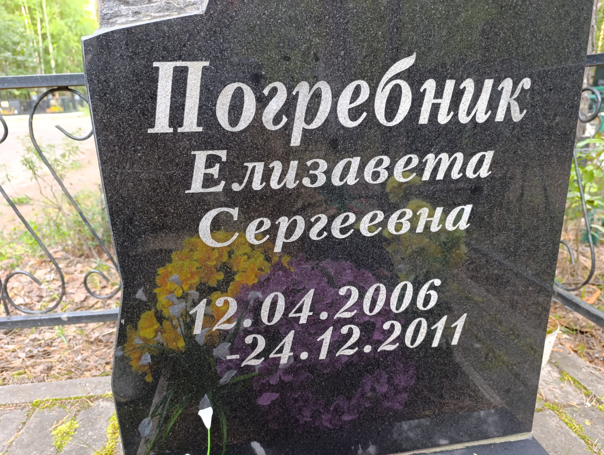 Погребник Елизавета Сергеевна