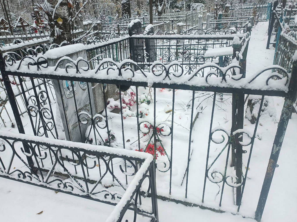 Воронина Анна Яковлевна