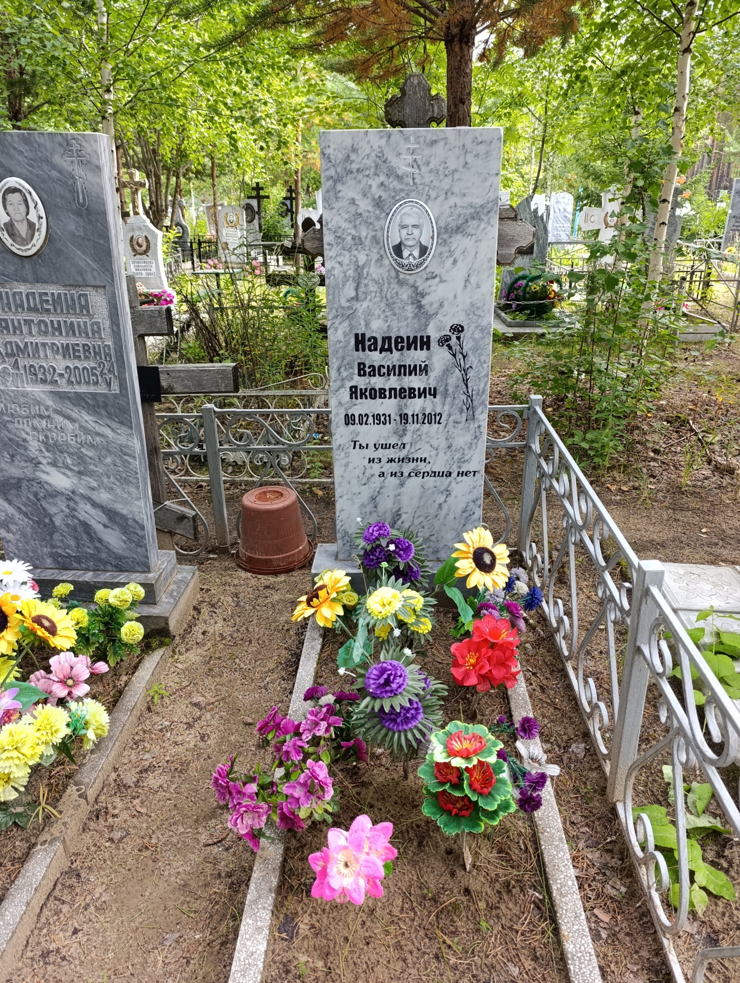 Надеин Василий Яковлевич