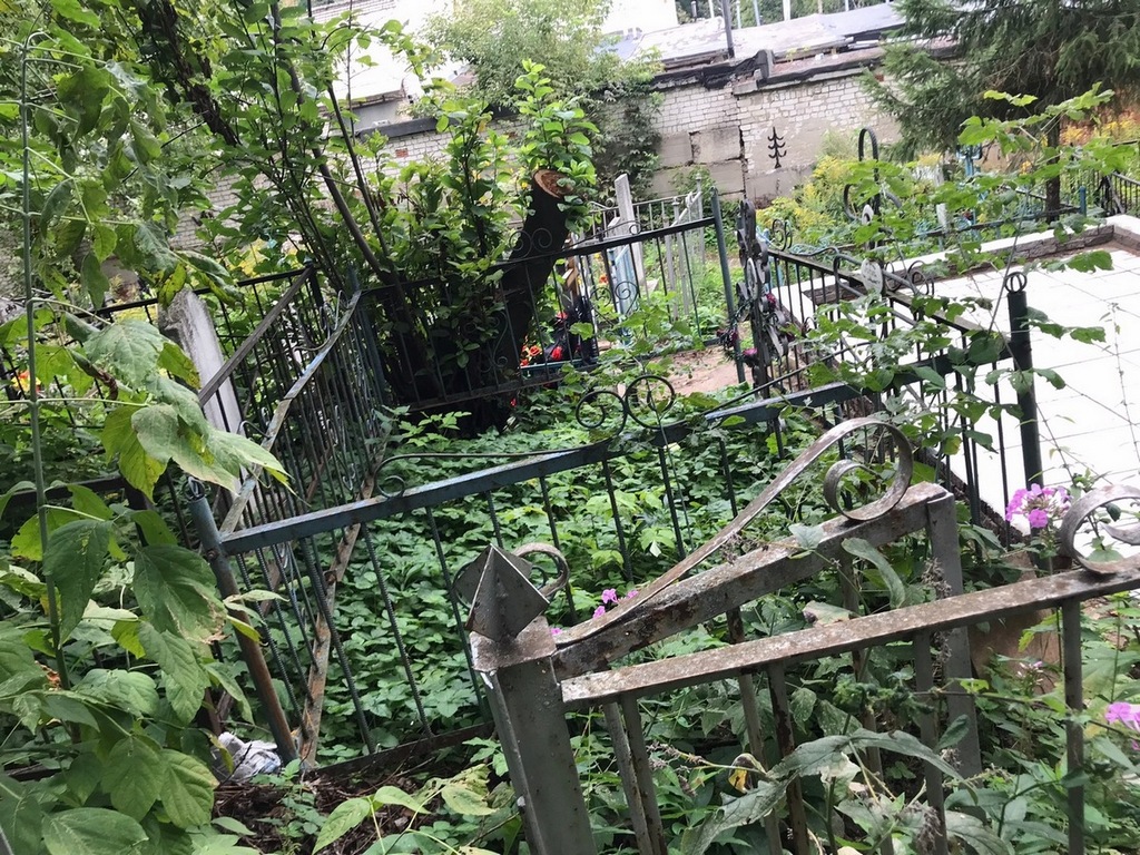 Мутовкина Анна Сергеевна