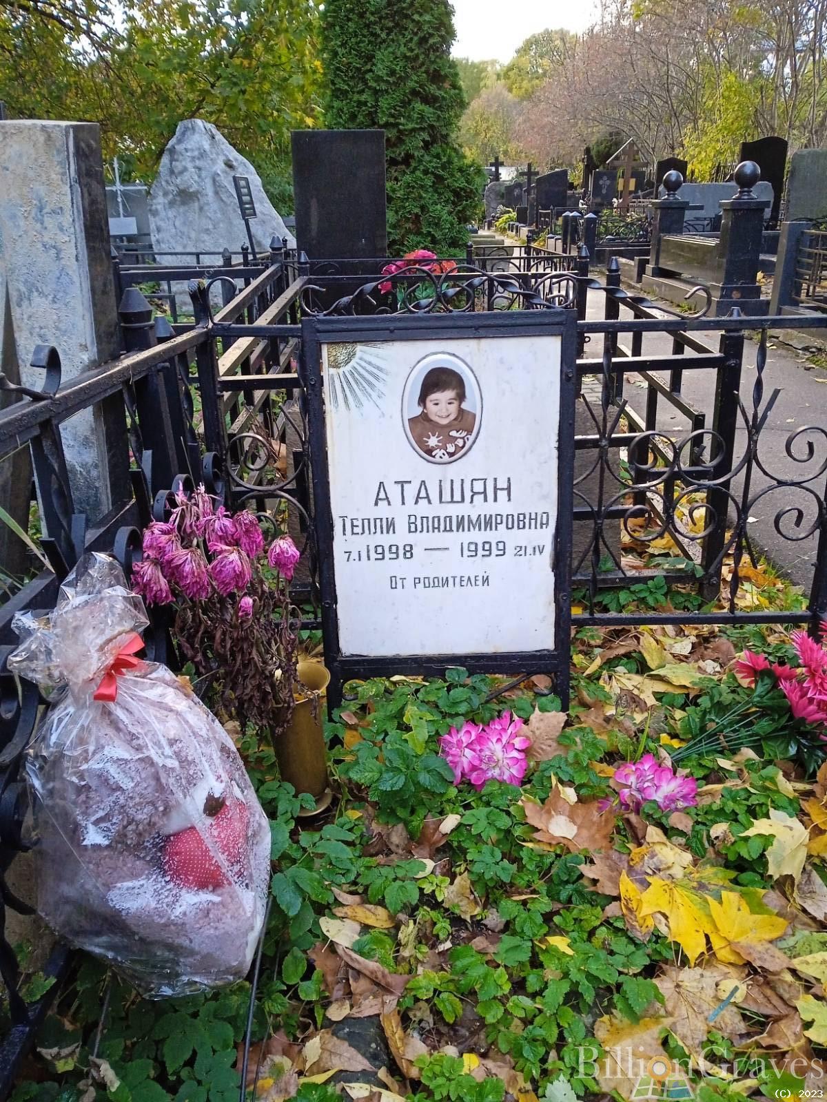 Аташян Телли Владимировна