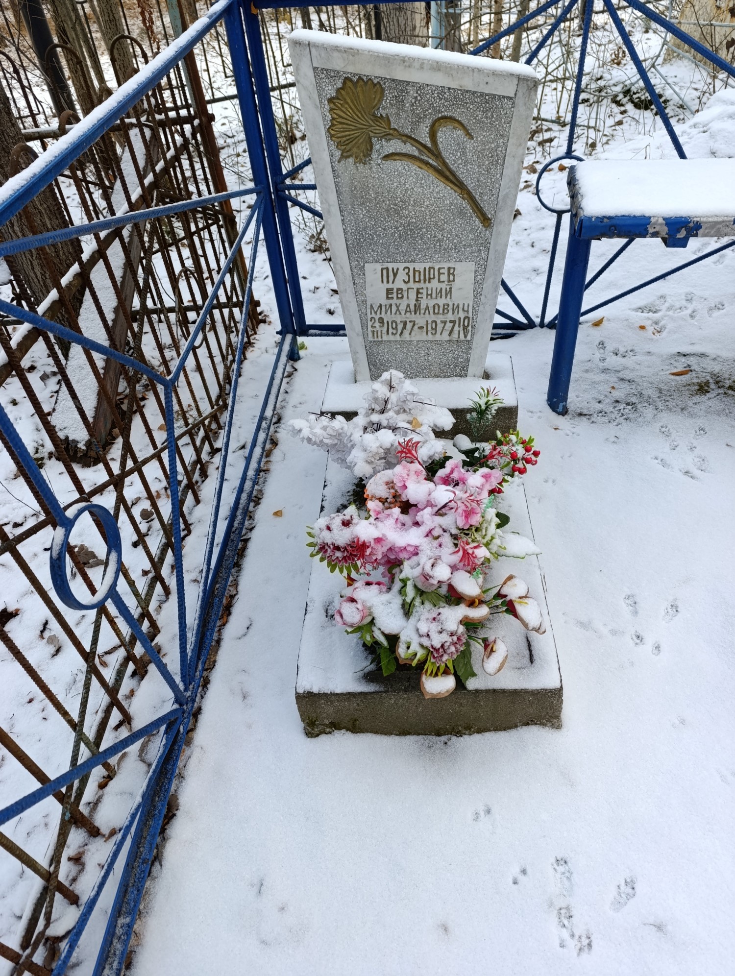 Пузырев Евгений Михайлович