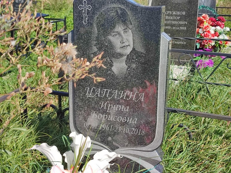 Цаплина