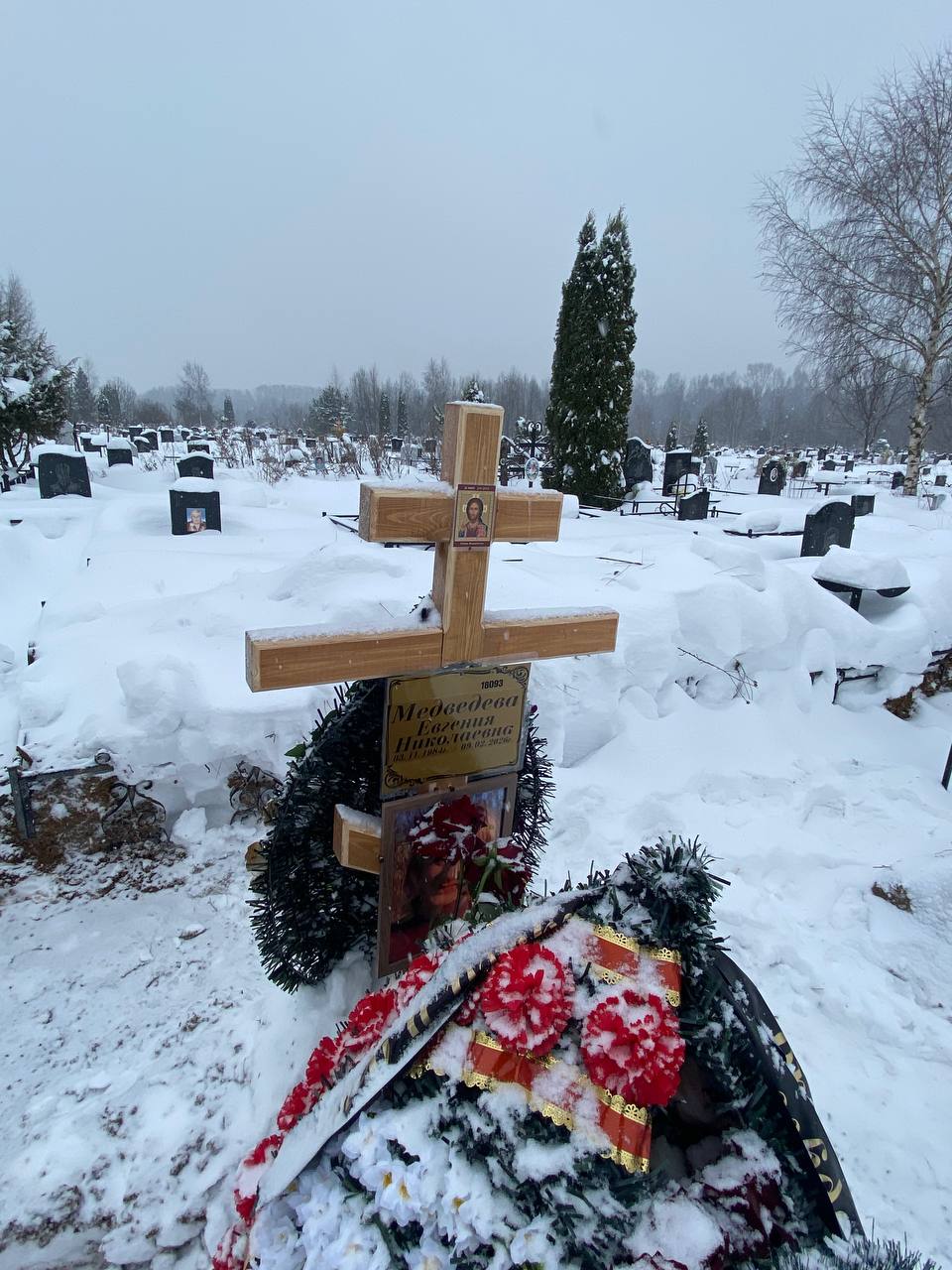 Медведева Евгения Николаевна