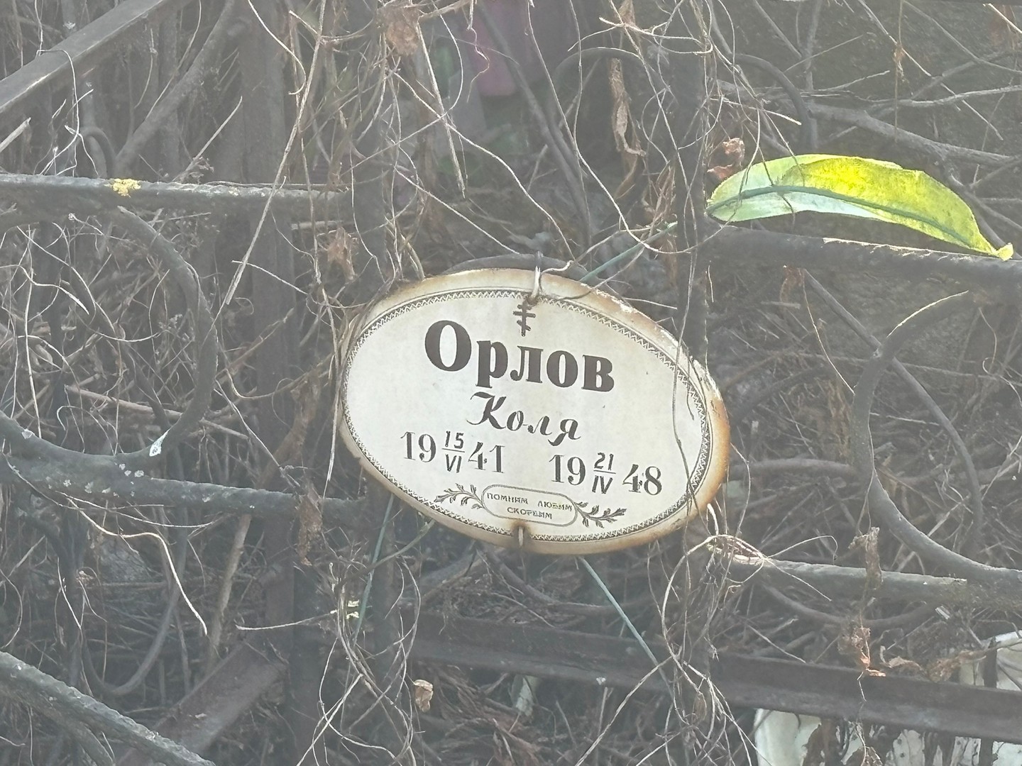 Орлов Орлов