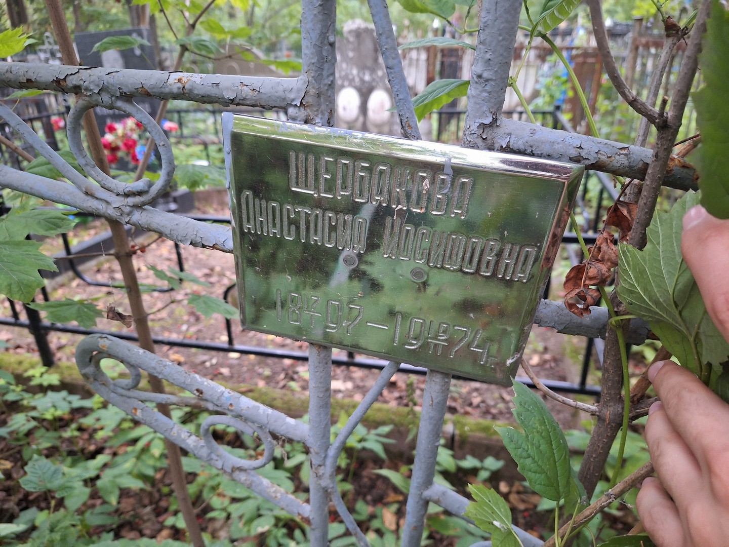 Щербакова Анастасия Иосифовна