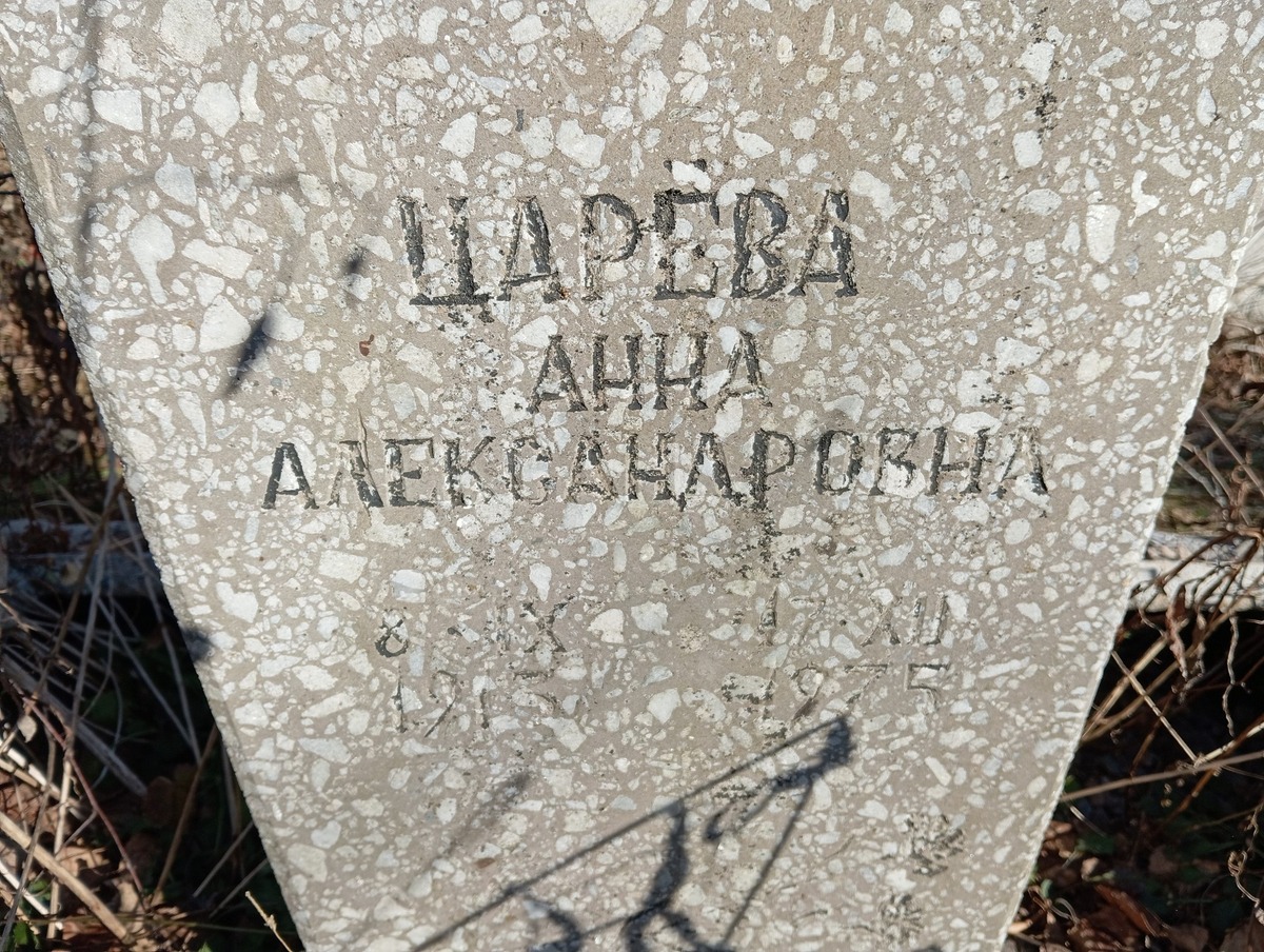 Царева Анна Александровна