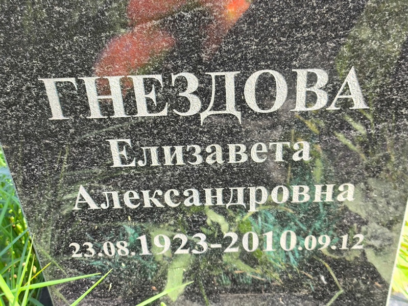 Гнездова