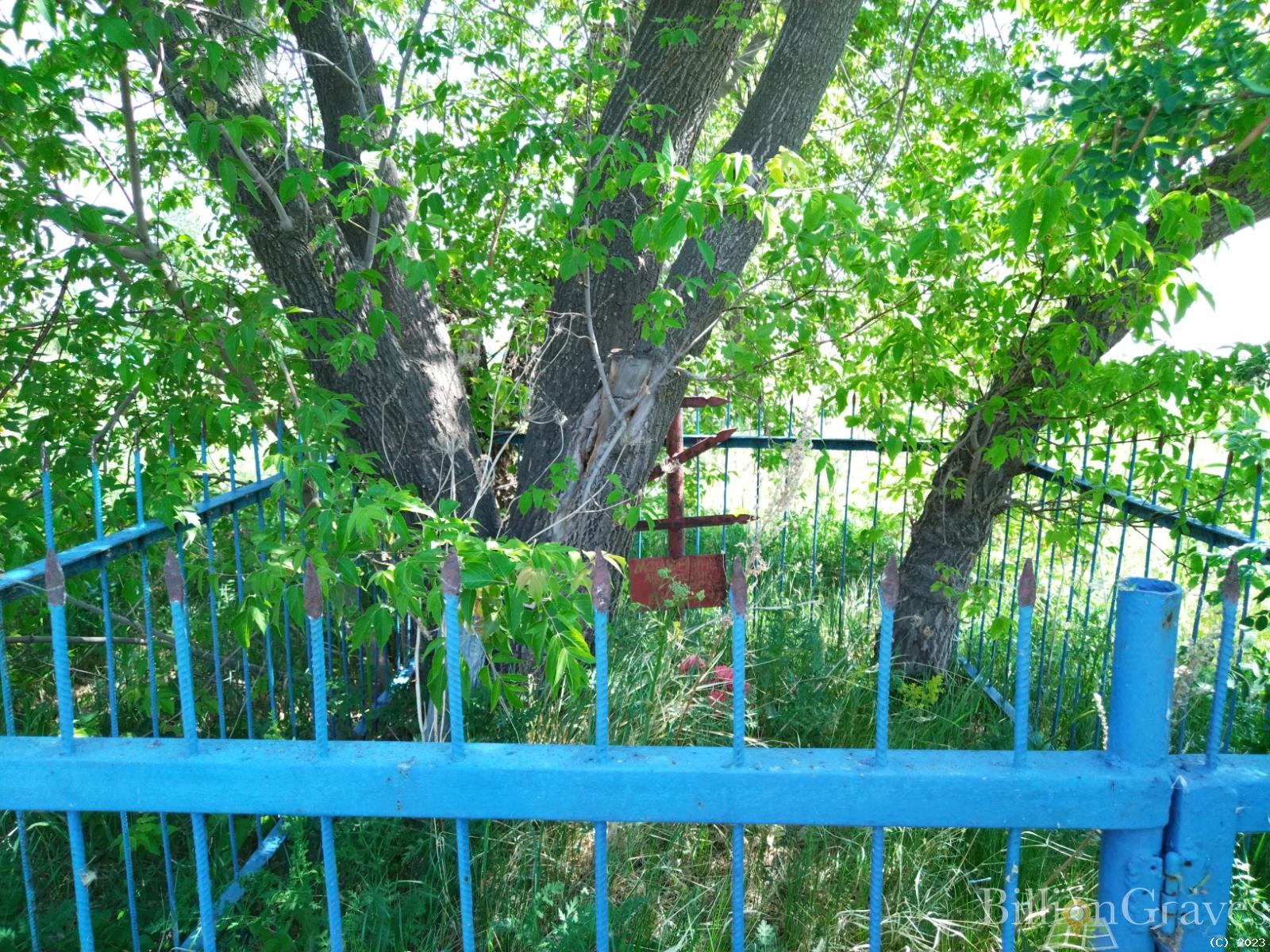 Мандрыгина Анастасия Григорьевна