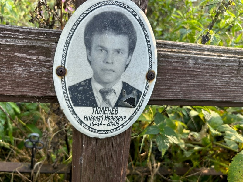 Тюленев