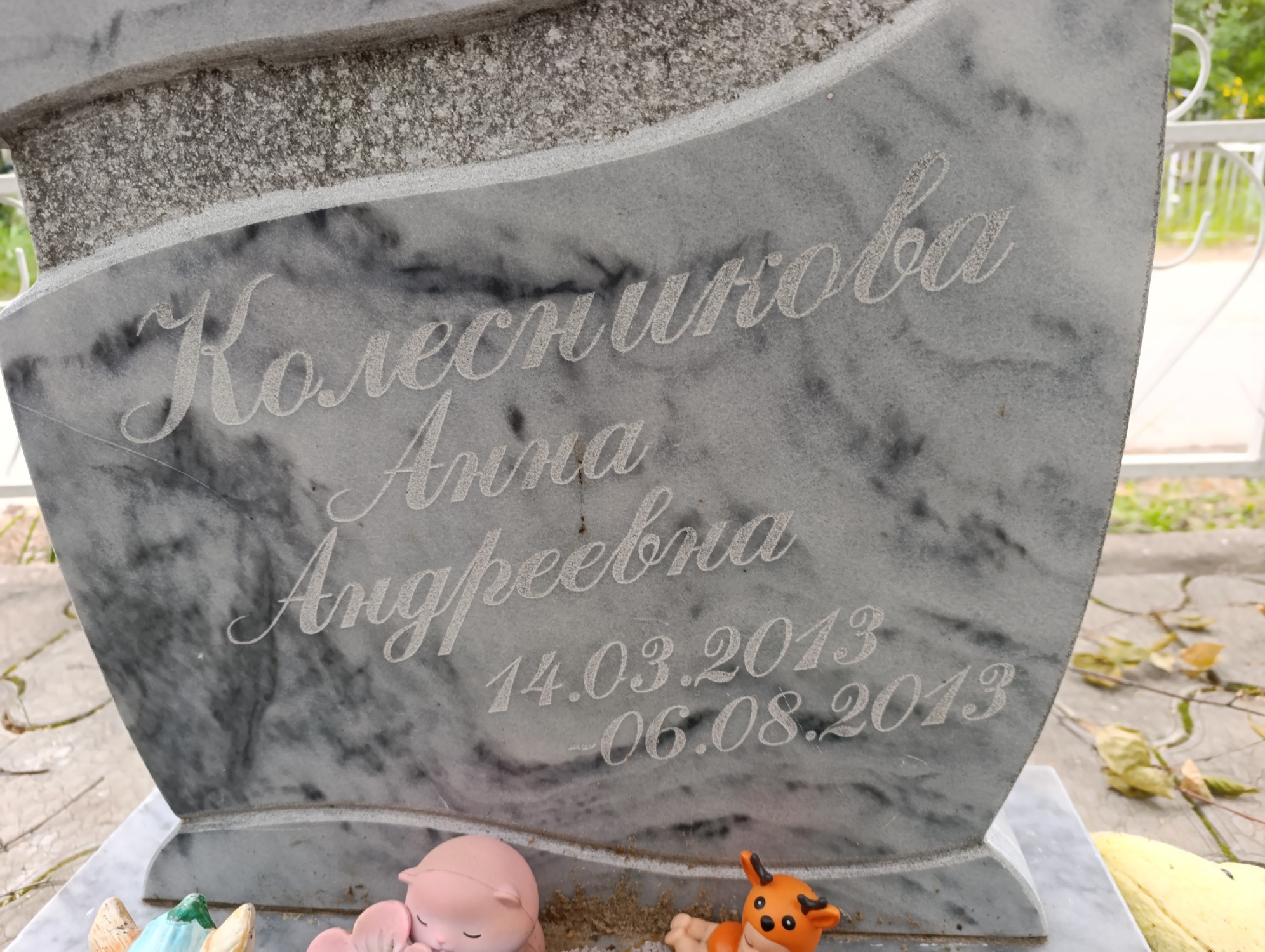 Колесникова Анна Андреевна