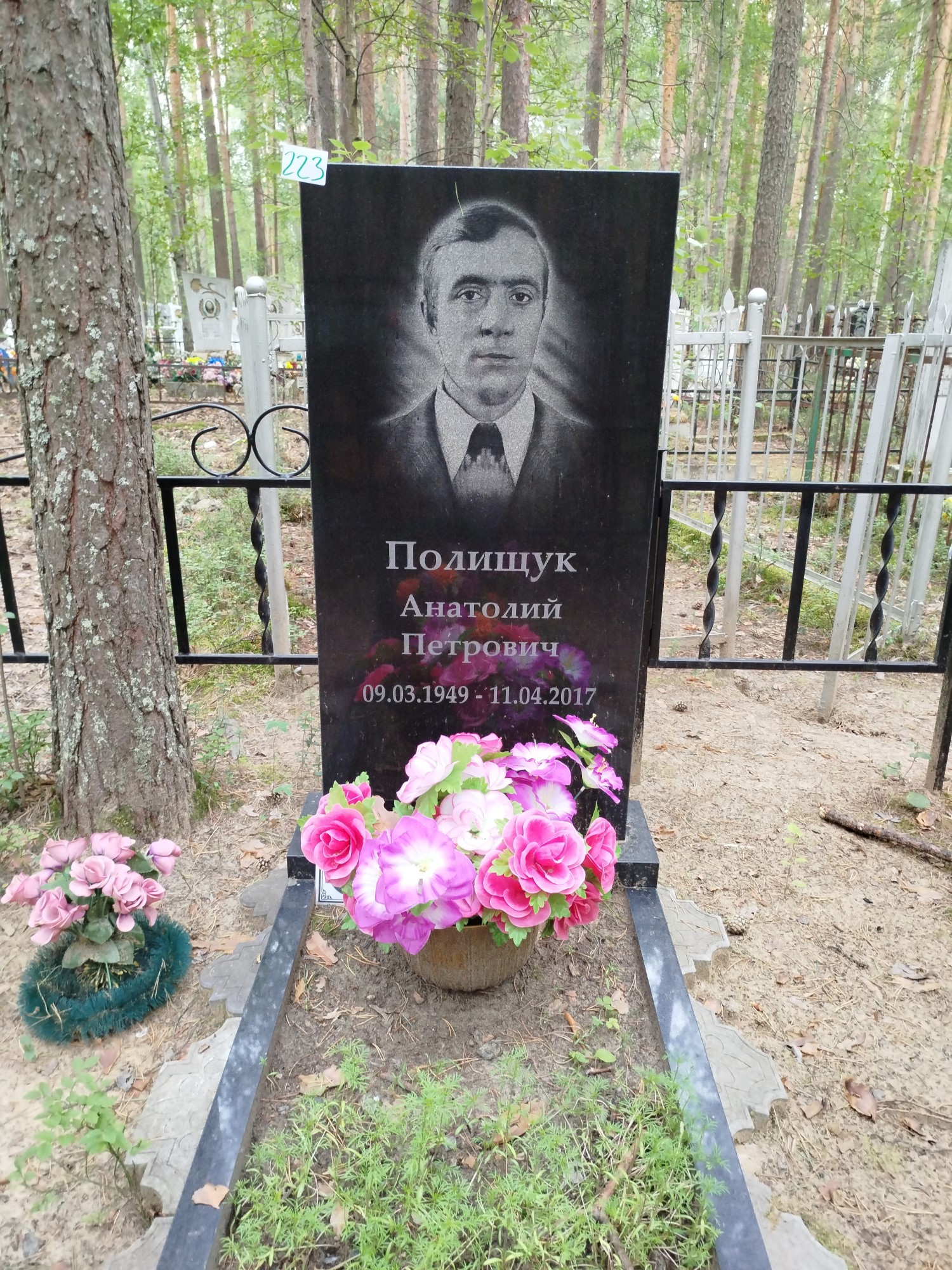Полищук Анатолий Петрович