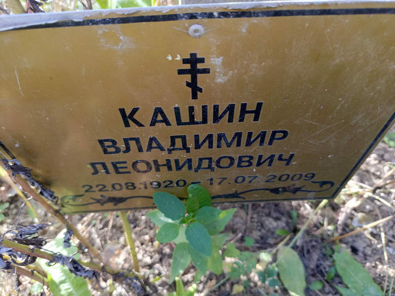 Кашин