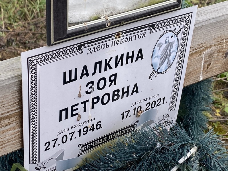 Шалкина