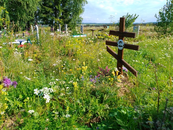 Паньков Вячеслав Фёдорович