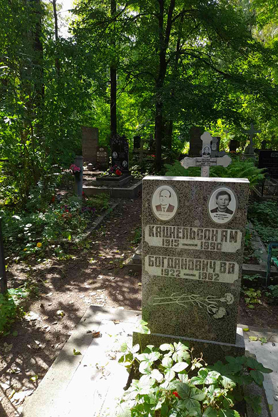 Богданович В. В.
