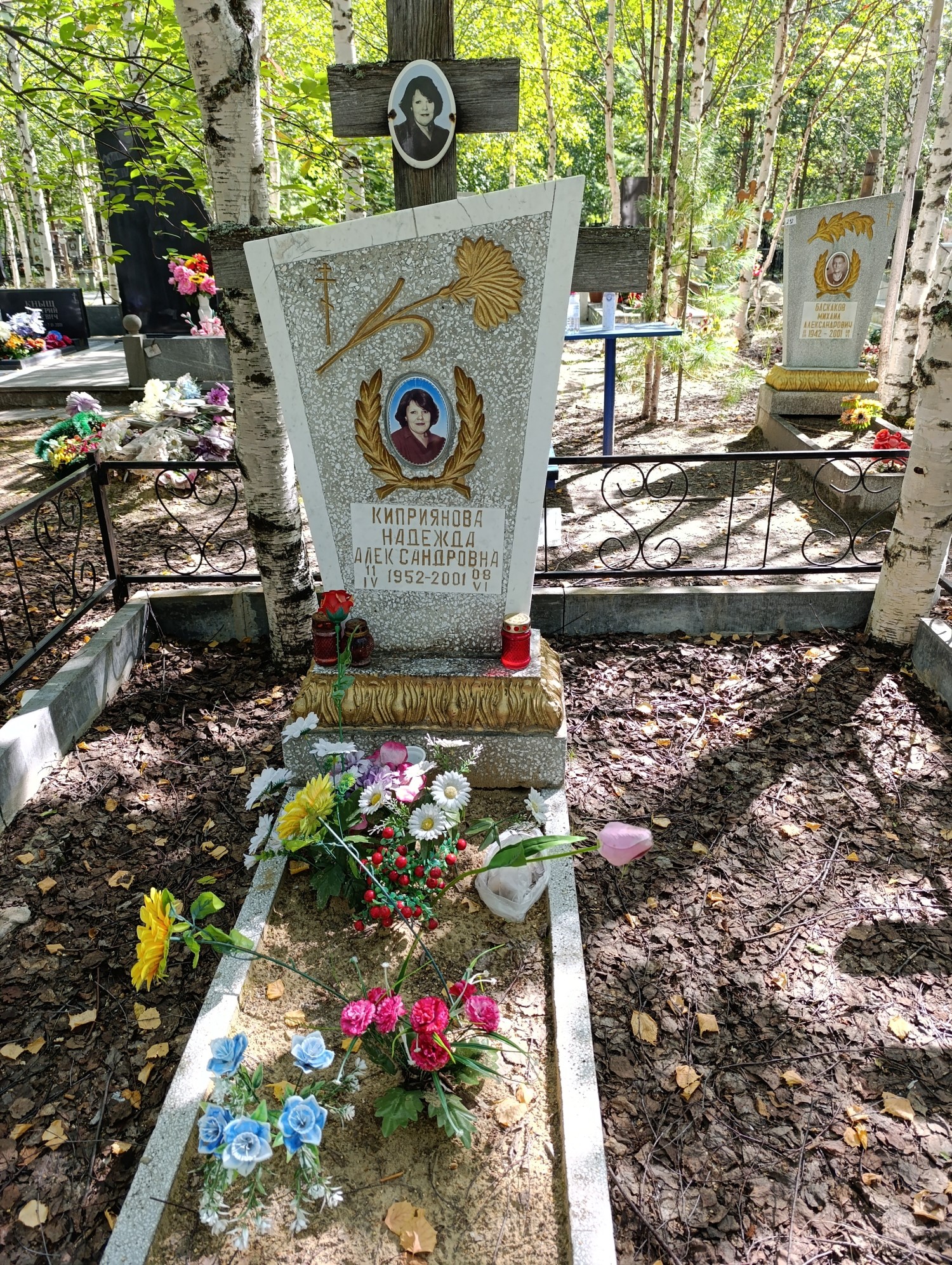 Киприянова Надежда Александровна
