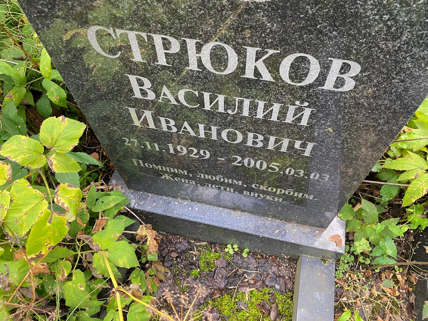 Стрюков