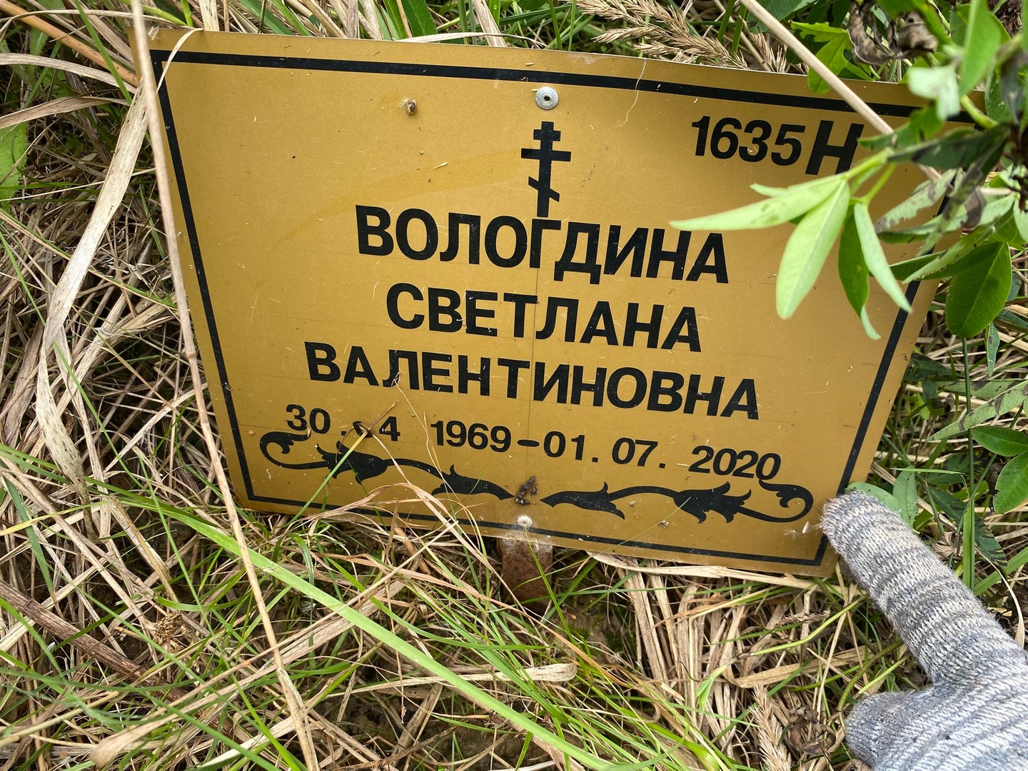 Вологдина