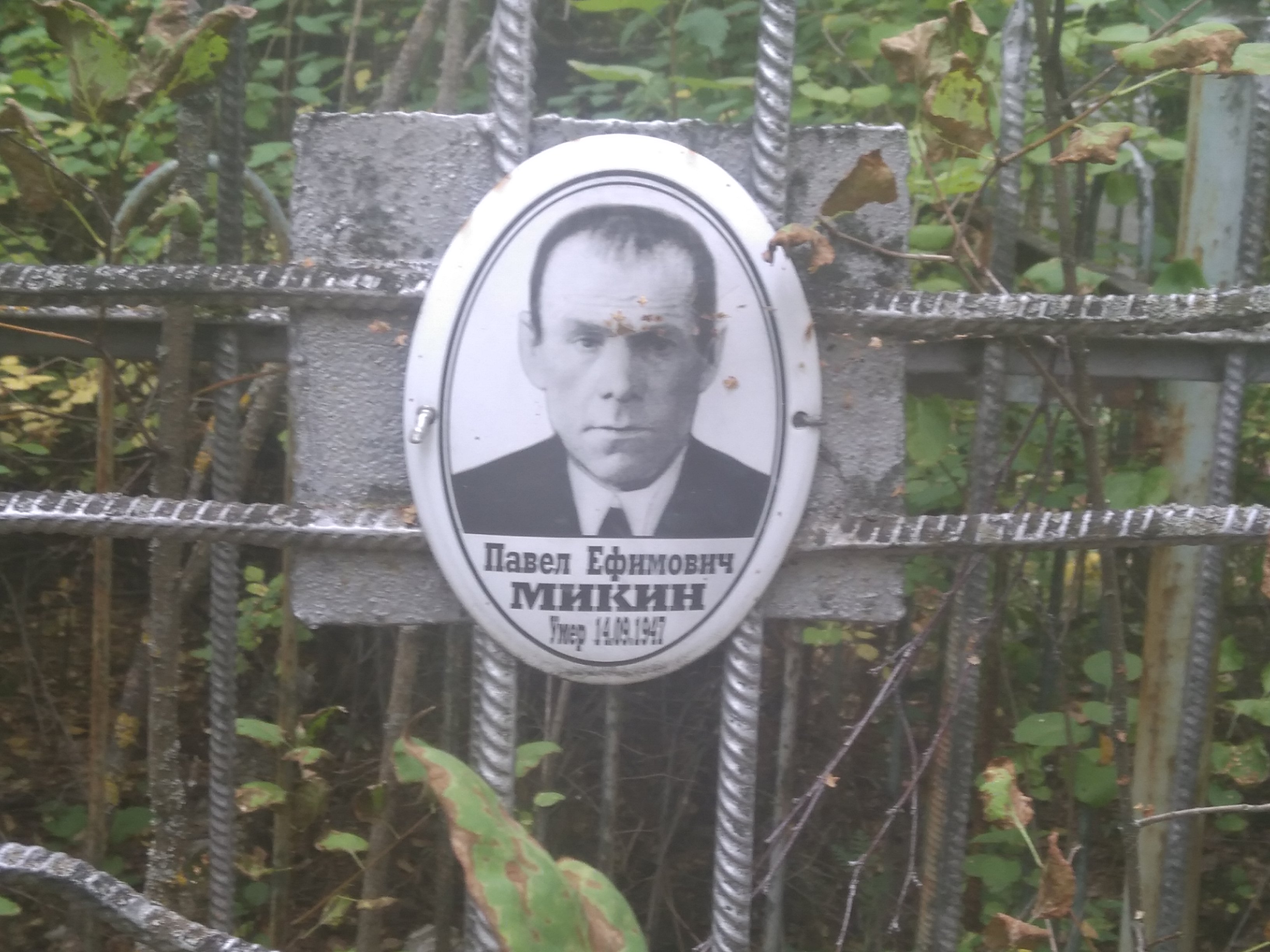 Микин Павел Ефимович