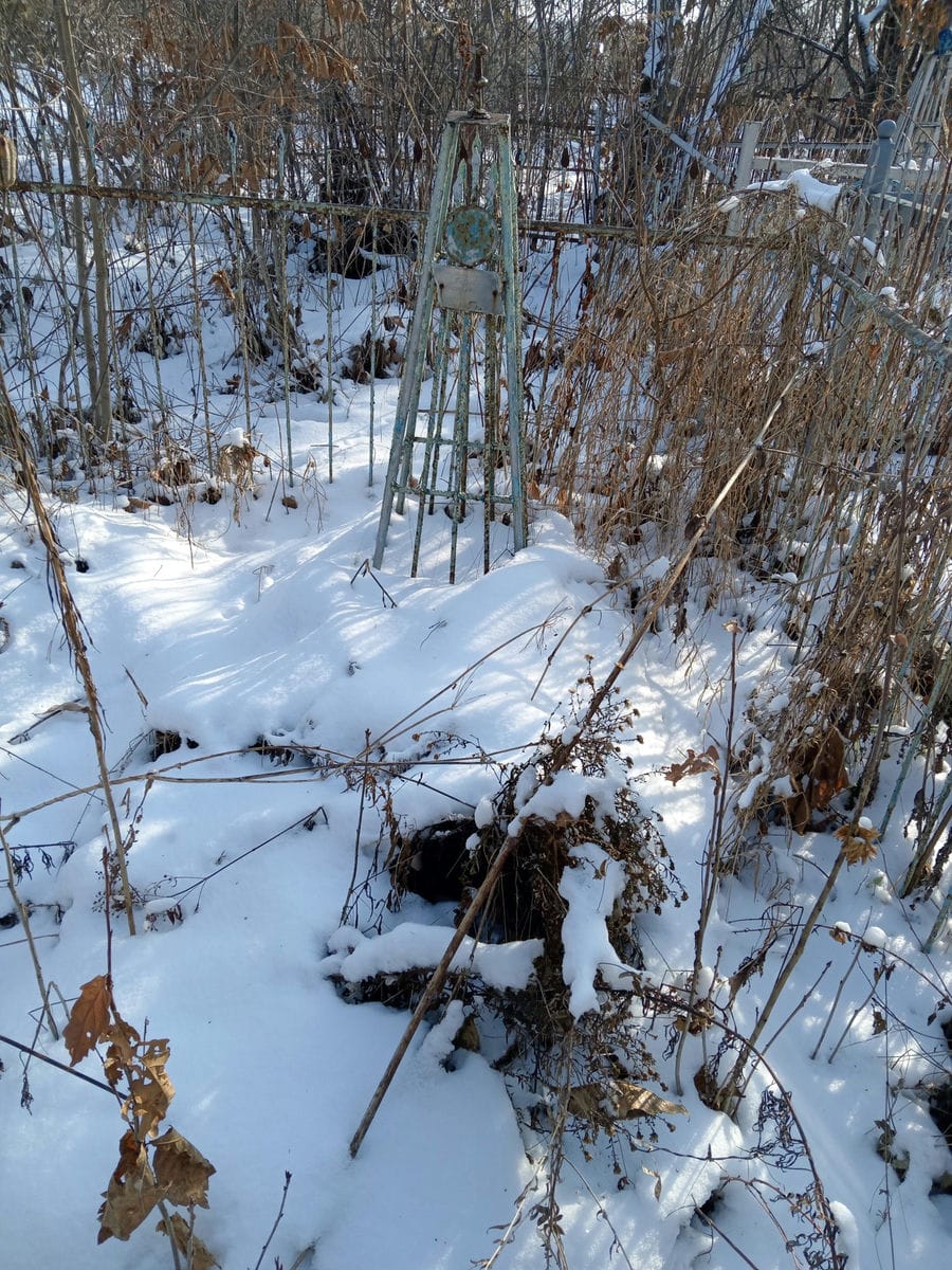 Полянский Сергей Петрович