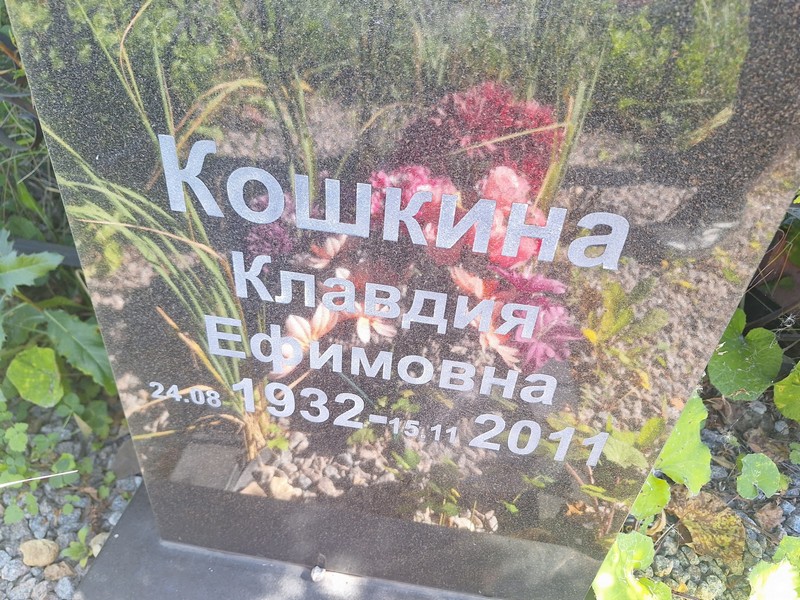 Кошкина