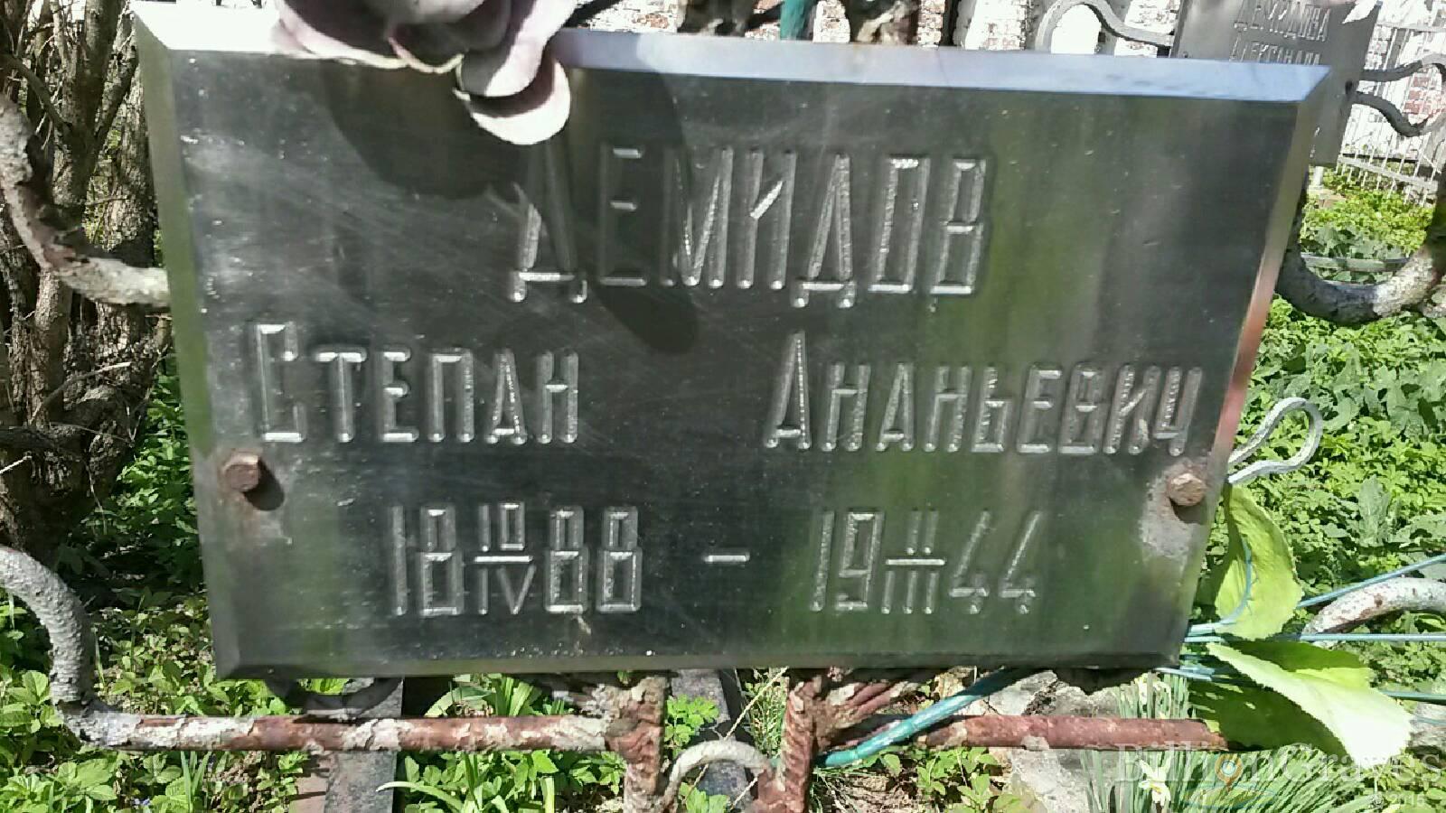 демидов степан ананьевич