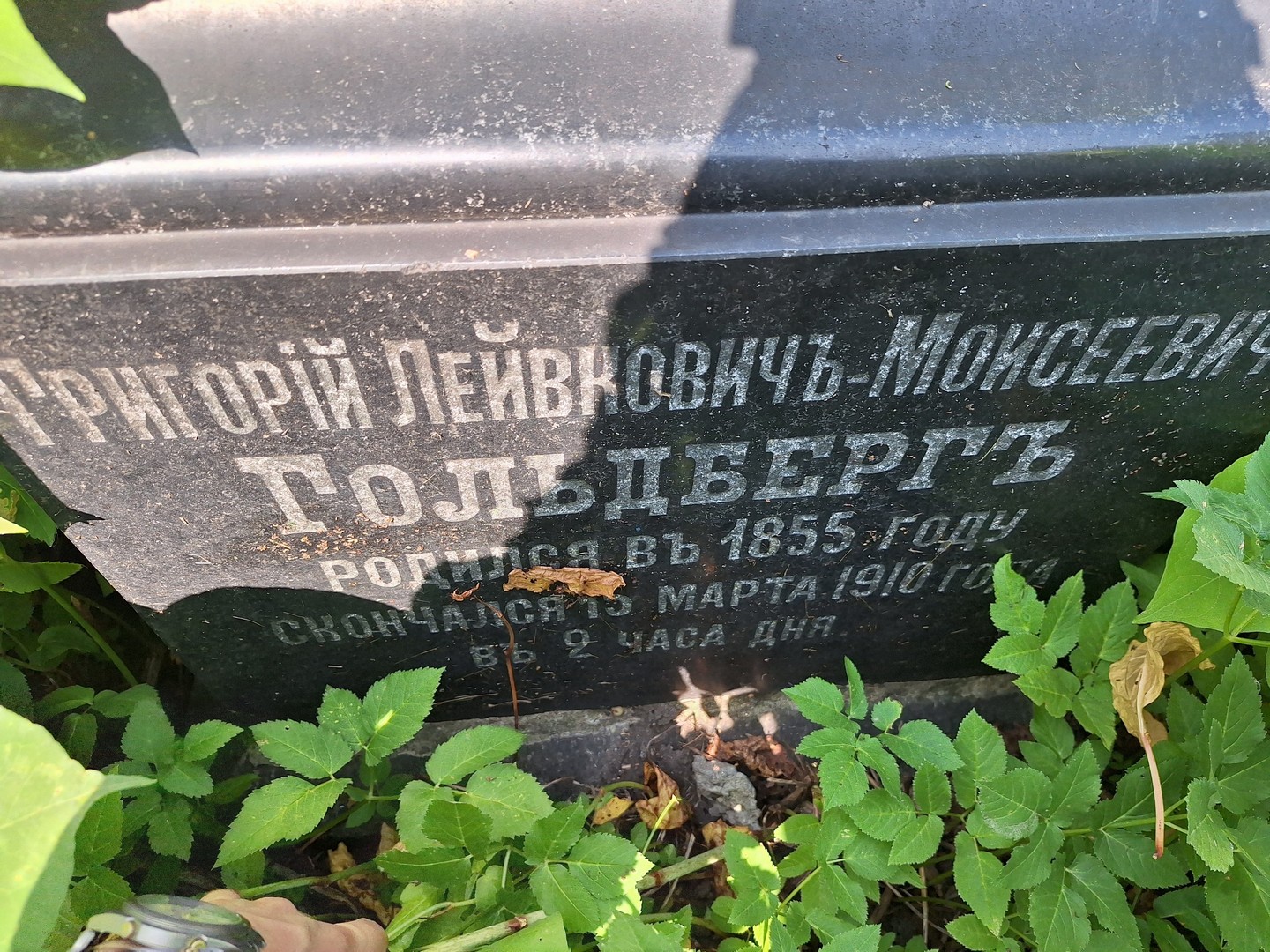 Гольдберг