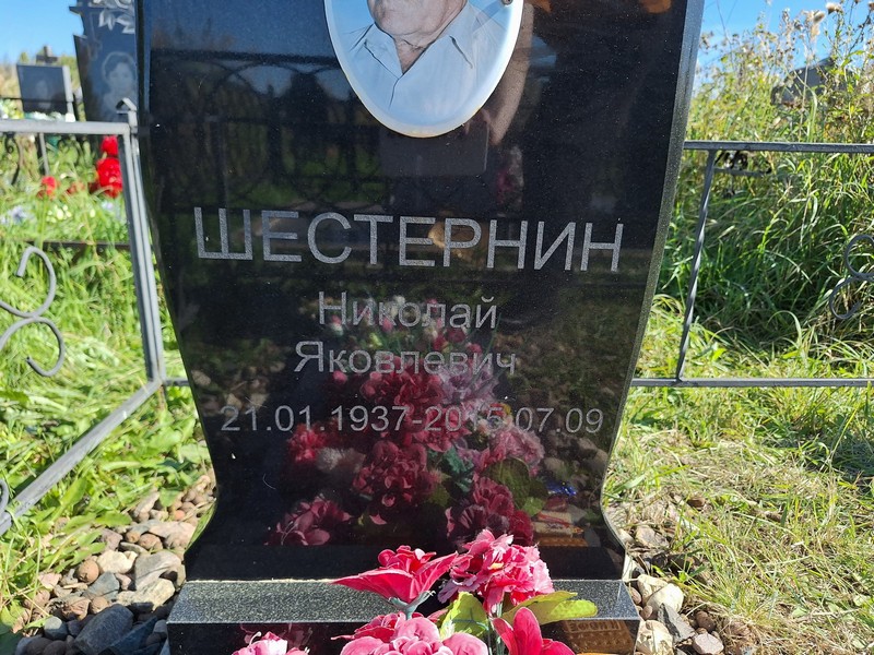 Шестернин