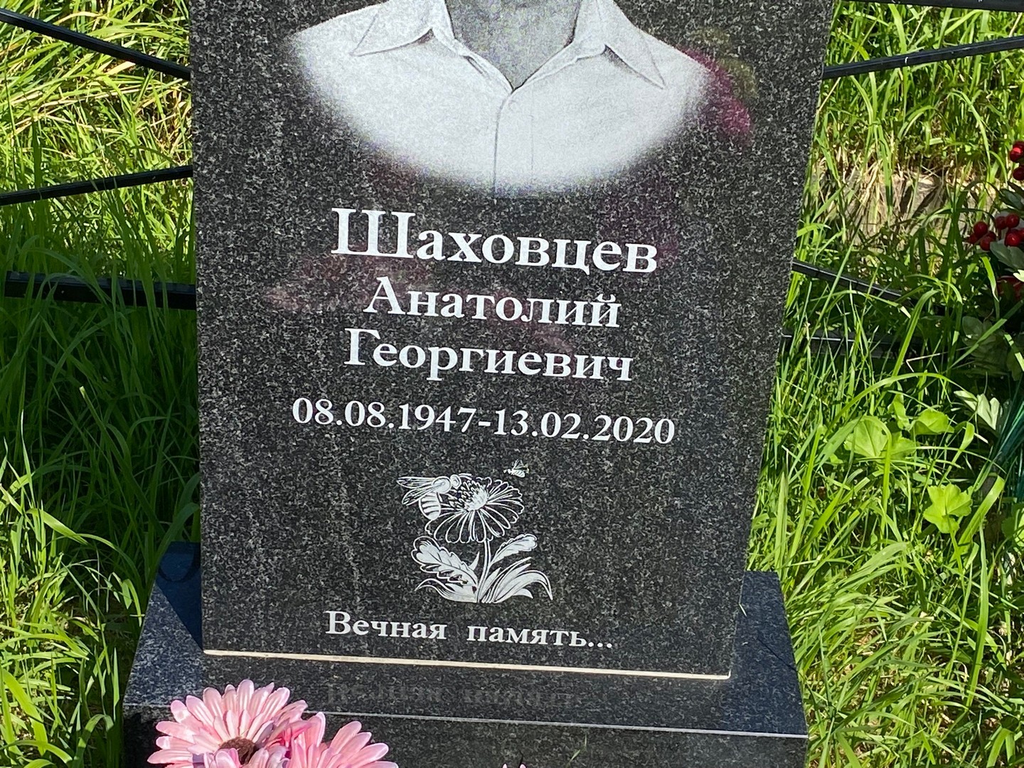 Шаховцев