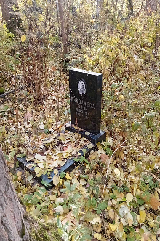 Николаева Евгения Моисеевна