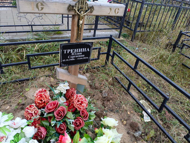 Тренина