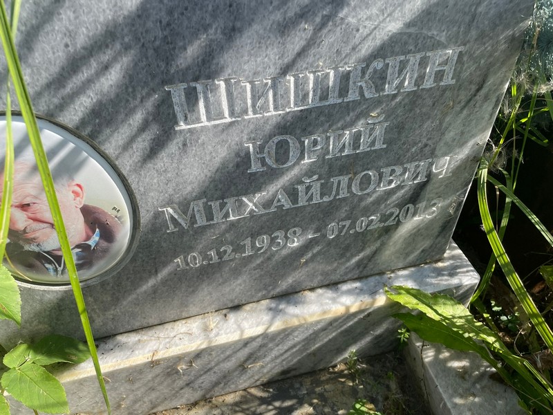 Шишкин