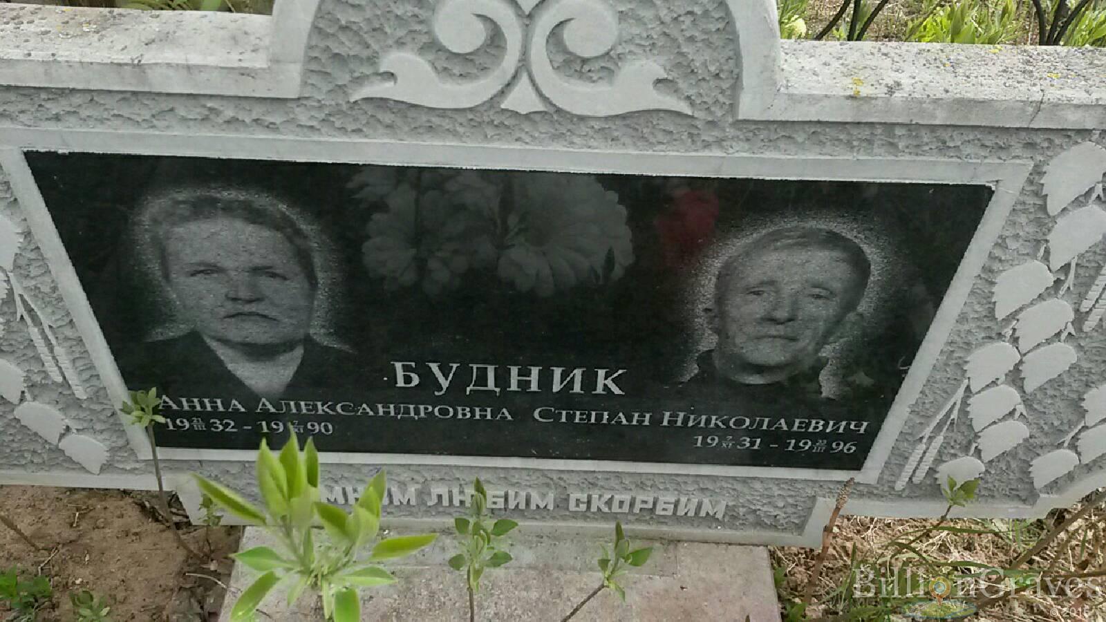 Будник Анна Александровна