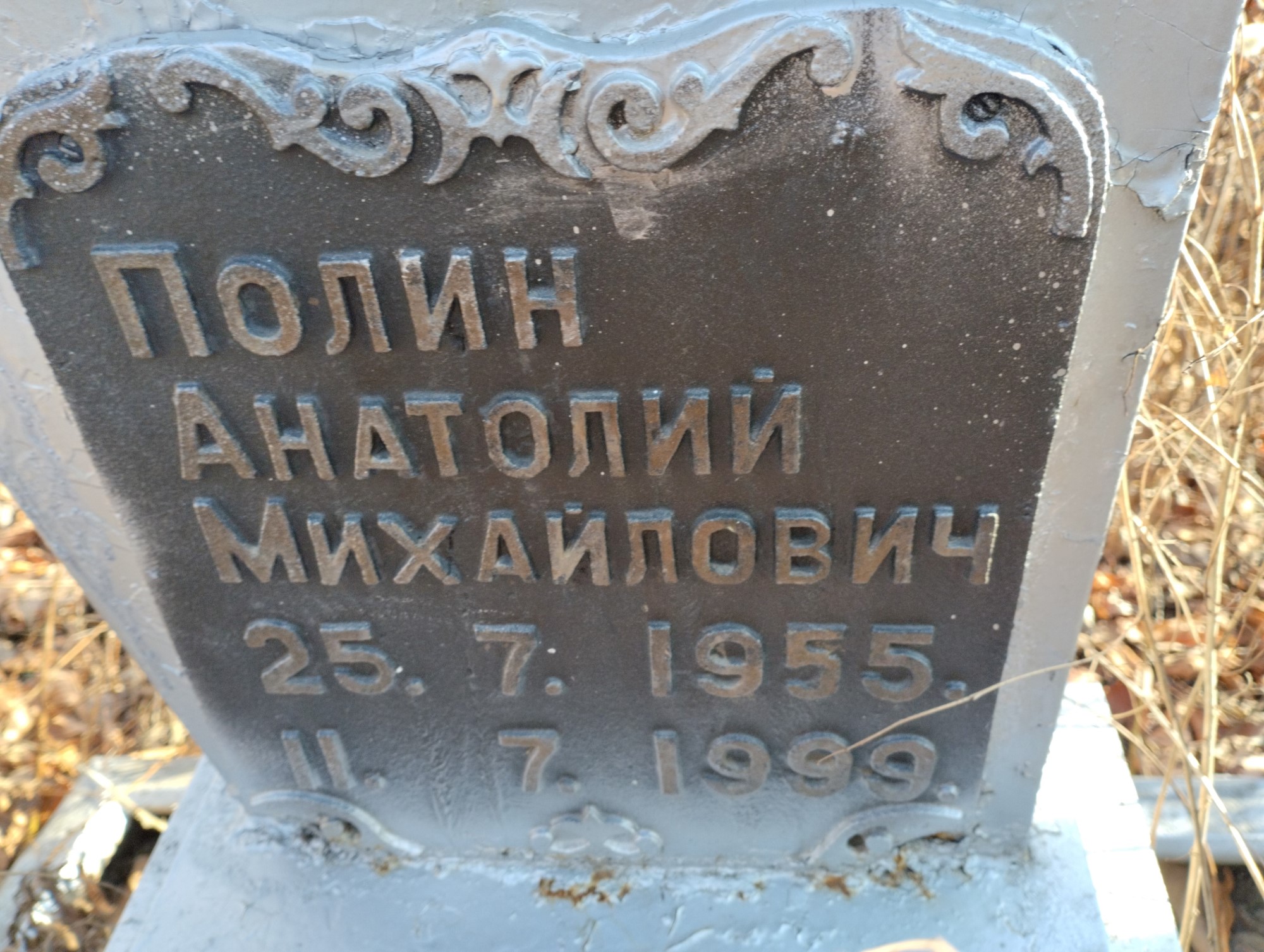 Полин Анатолий Михайлович