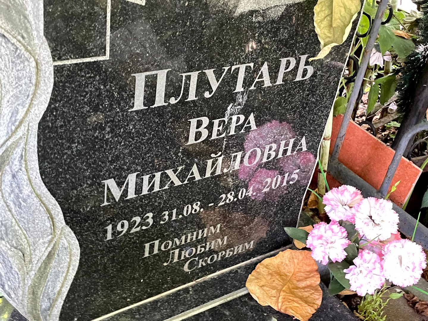 Плутарь