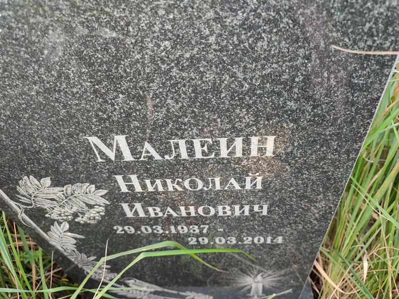 Малеин